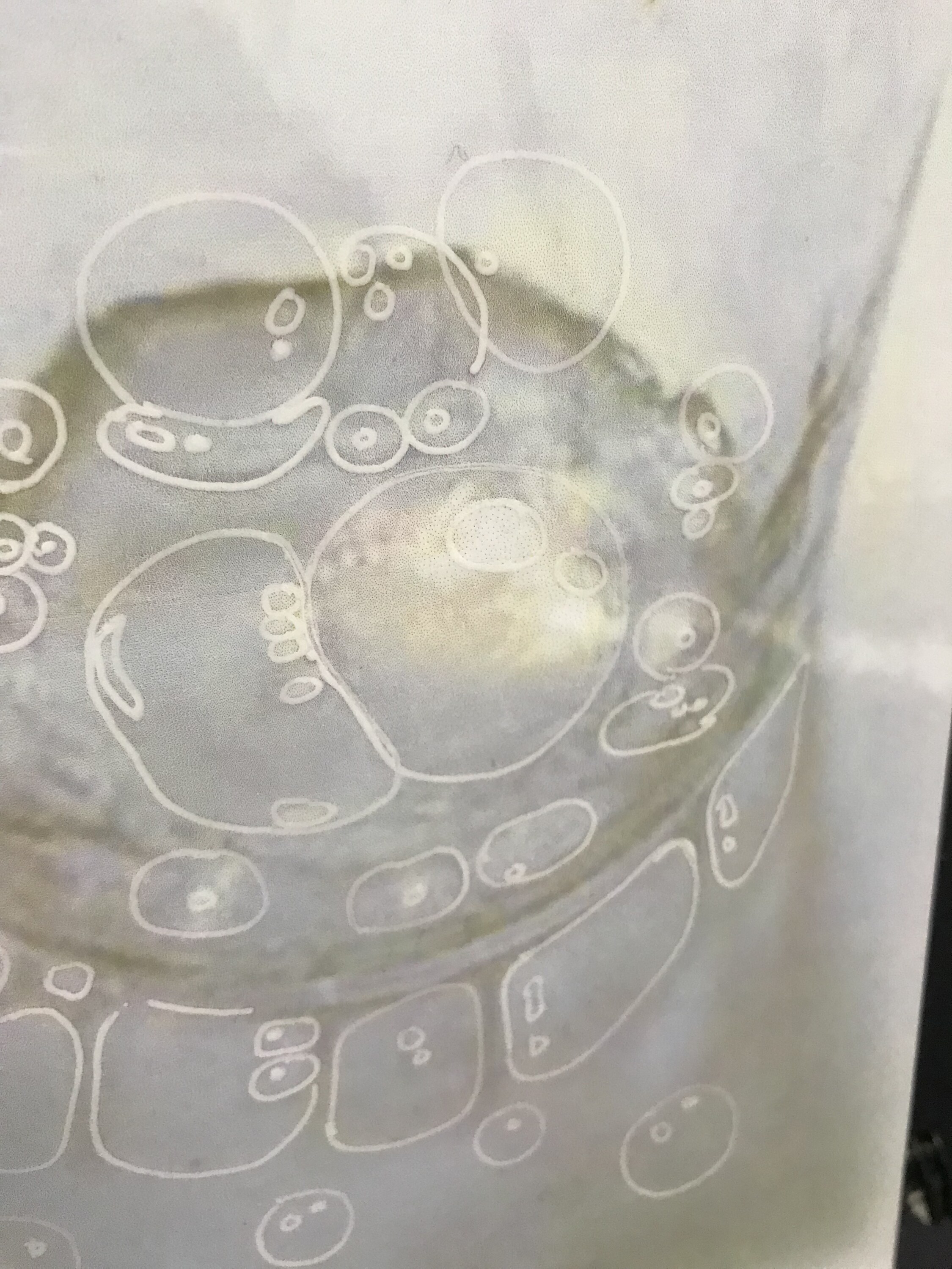 Circular translucent forms and reflected light in a mixed-media work